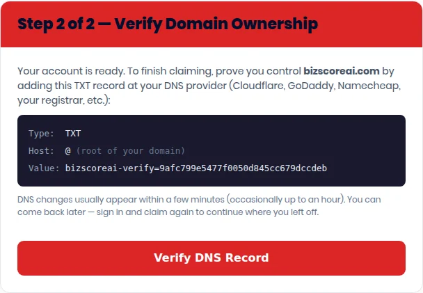 Step 2 of 2, Verify Domain Ownership, showing the TXT record details and a Verify DNS Record button