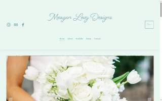 Meagan Levy Designs website