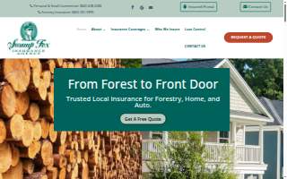 Swamp Fox Agency website