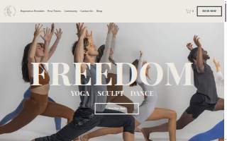 Freedom Studio website