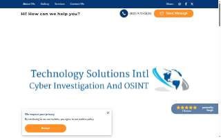 Technology Solutions website