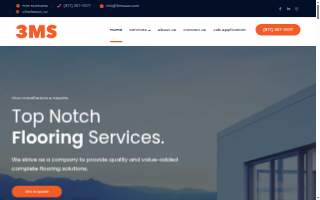 3ms usa website
