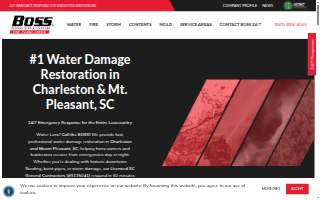 Boss Disaster Restoration Inc. website