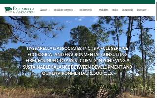 Passarella & Associates Inc website