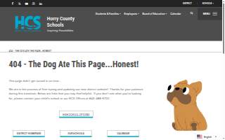 Therapeutic Learning Center website