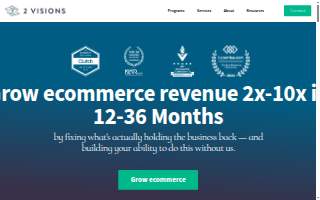 2 Visions: B2C DTC Ecommerce Consultant website