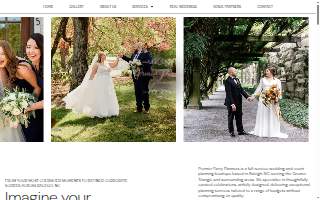 Premier Party Planners of Raleigh website