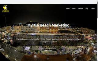 Biz Buzz Media website