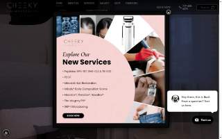 Cheeky Medspa - Fairbanks website