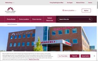 Mount Carmel Lewis Center website