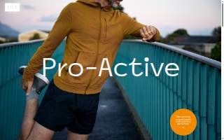 Lile Wellness website