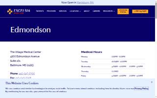The Village Medical Center website