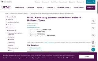 The Women and Babies Center at Hollinger Tower website