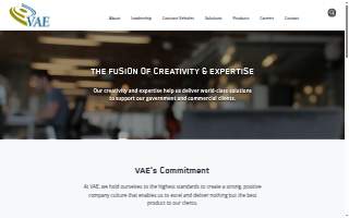 VAE, Inc. website