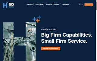 Rosen Litigation Technology Consulting, Inc website
