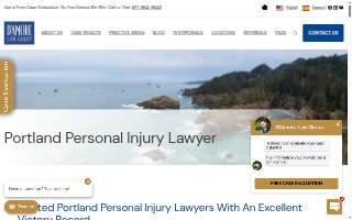 D'Amore Law Group website