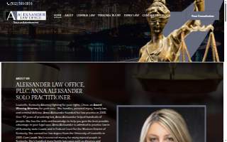 Aleksander Law Office, pllc website