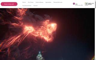 Atlanta Business Accountants LLC website