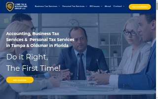Lions Tax & Accounting Group website