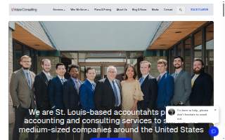 Volpe Consulting & Accounting Services website