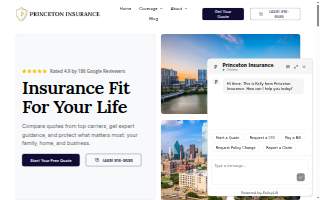 Princeton Insurance website
