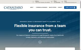 Catanzaro Insurance website