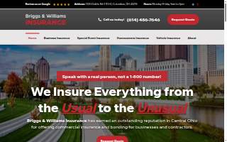 Briggs & Williams Insurance Agency website