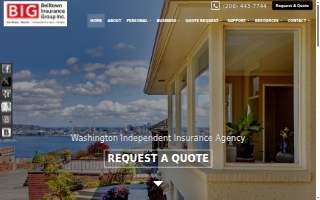 Belltown Insurance Group Inc website
