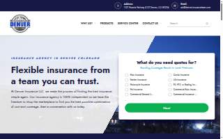 Denver Insurance LLC website