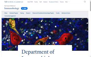 Orchard Medical Center website