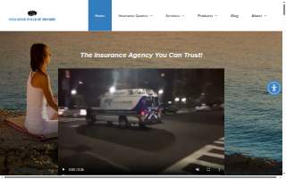 Insurance Group of Nevada Corp website