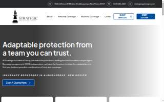 Strategic Insurance Group website