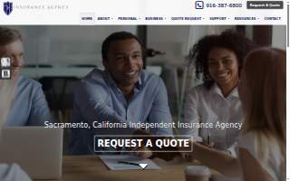 Ice Insurance Agency website