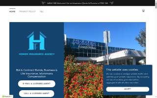 Homer Insurance Agency website