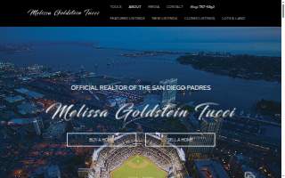 Melissa Goldstein Tucci website