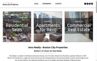 Amo Realty - Boston City Properties website