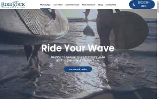 BirdRock Wealth website