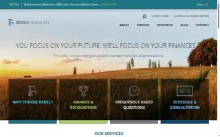 Bedel Financial Consulting website