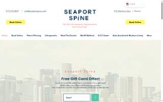 Seaport Spine website