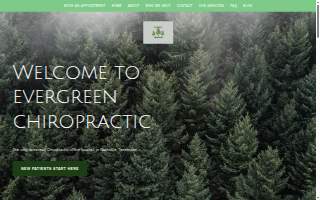 Evergreen Chiropractic website
