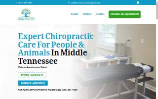 Middle Tennessee Chiropractic website