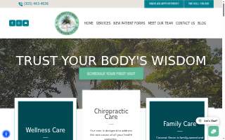 Coconut Grove Chiropractic website