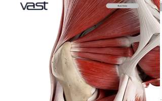 VAST Chiropractic, Inc website