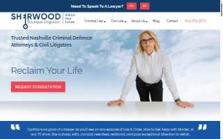 Sherwood Boutique Litigation, PLC website
