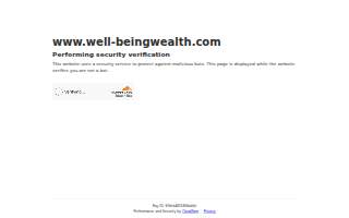 Well-Being Wealth Strategies website