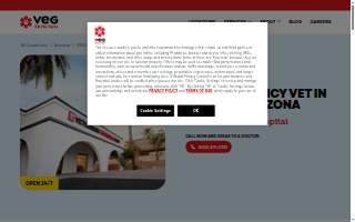 Veterinary Emergency Group of Phoenix website