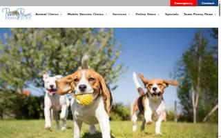 Penny Paws Animal Hospital - Fort Worth website