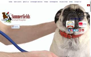 Summerfields Animal Hospital website