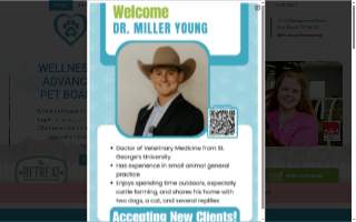 Arlington Heights Animal Hospital website