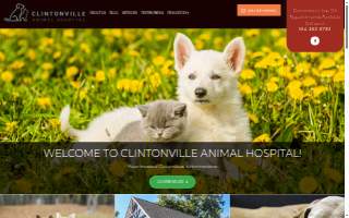 Clintonville Animal Hospital website